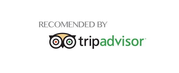 tripadvisor